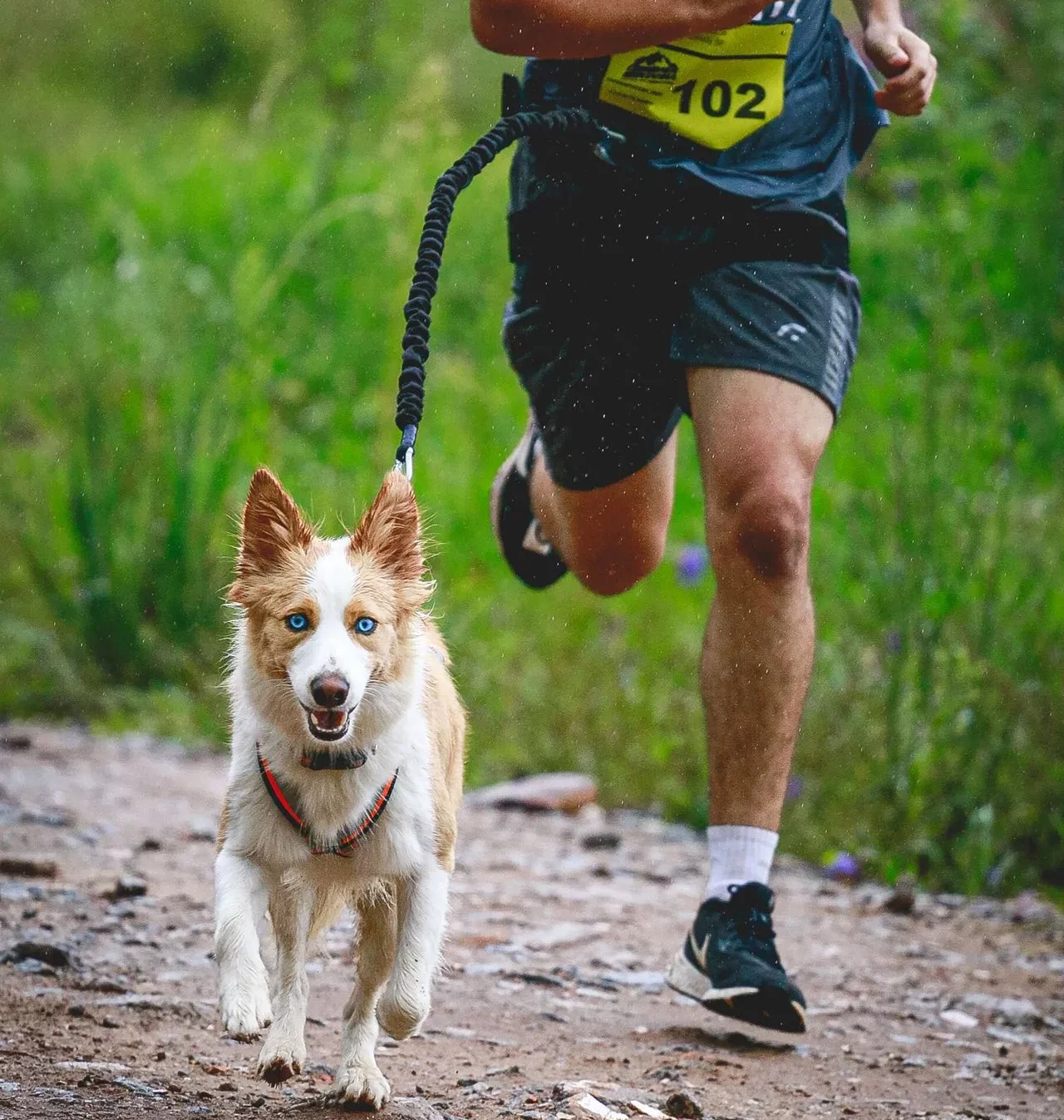 pourquoi_nous_rejoindre cani_cross